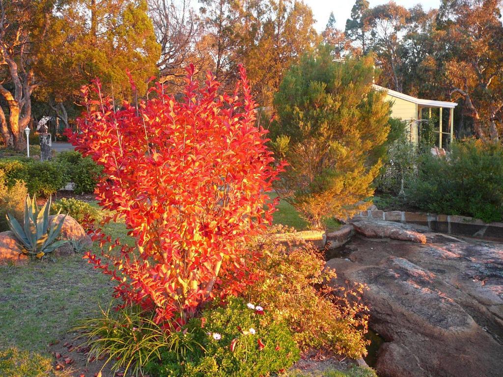 31 The Rocks Acomodação com café da manhã Stanthorpe Exterior foto